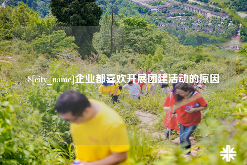 宁德企业都喜欢开展团建活动的原因